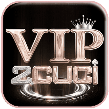 VIP2Cuci logo